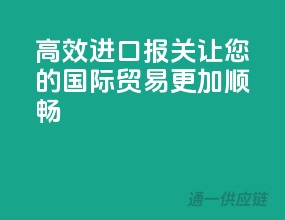 高效进口报关，让您的国际贸易更加顺畅！