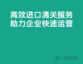 高效进口清关服务，助力企业快速运营