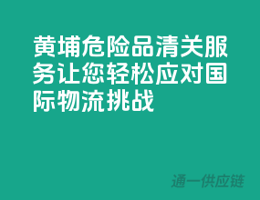 黄埔危险品清关服务，让您轻松应对国际物流挑战