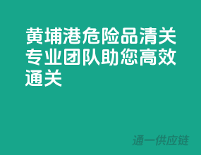 黄埔港危险品清关，专业团队助您高效通关