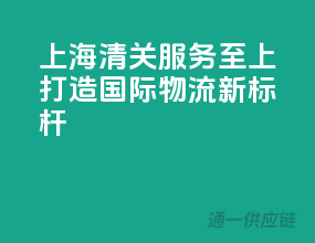 上海清关，服务至上，打造国际物流新标杆
