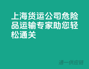 上海货运公司，危险品运输专家，助您轻松通关！
