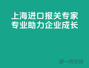 上海进口报关专家，专业助力企业成长