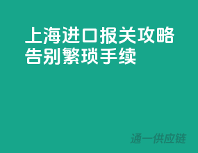 上海进口报关攻略，告别繁琐手续