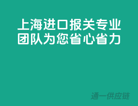 上海进口报关，专业团队为您省心省力