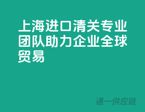 上海进口清关，专业团队，助力企业全球贸易