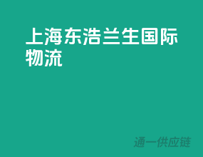 上海东浩兰生国际物流