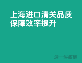 上海进口清关，品质保障，效率提升