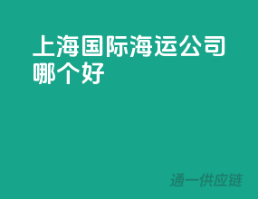 上海国际海运公司哪个好