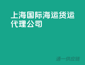 上海国际海运货运代理公司