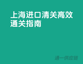 上海进口清关，高效通关指南