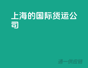 上海的国际货运公司