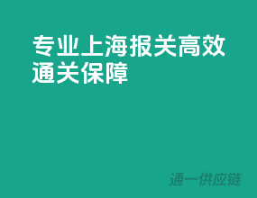 专业上海报关，高效通关保障