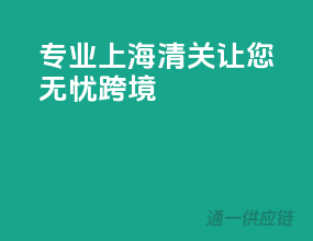 专业上海清关，让您无忧跨境
