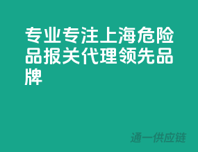 专业专注，上海危险品报关代理领先品牌