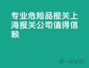 专业危险品报关，上海报关公司值得信赖