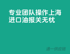 专业团队操作，上海进口油报关无忧