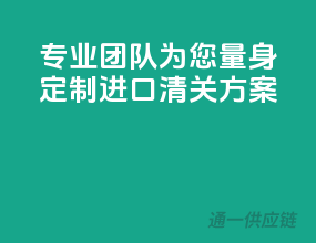 专业团队，为您量身定制进口清关方案