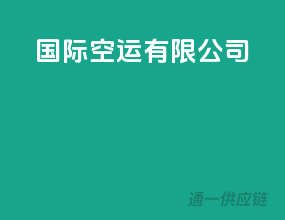 国际空运有限公司