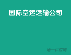 国际空运运输公司