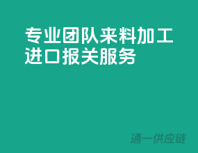 专业团队，来料加工进口报关服务