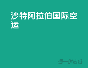 沙特阿拉伯国际空运