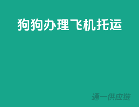 狗狗办理飞机托运