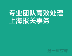 专业团队，高效处理上海报关事务