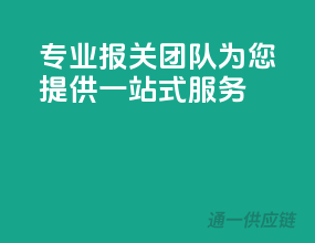 专业报关团队，为您提供一站式服务