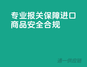 专业报关，保障进口商品安全合规