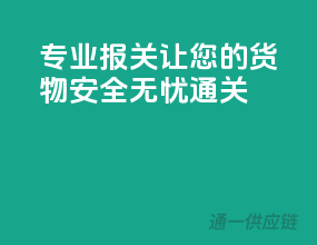 专业报关，让您的货物安全无忧通关