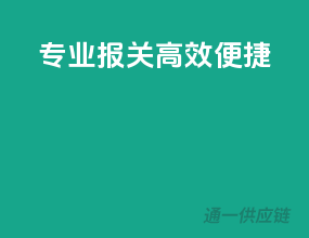 专业报关，高效便捷