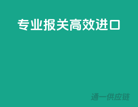 专业报关，高效进口