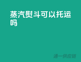 蒸汽熨斗可以托运吗