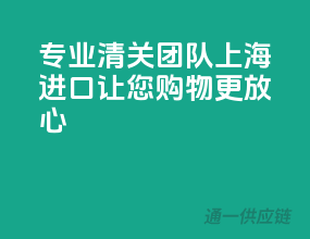 专业清关团队！上海进口，让您购物更放心！