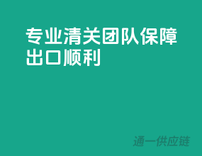 专业清关团队，保障出口顺利