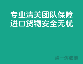专业清关团队，保障进口货物安全无忧