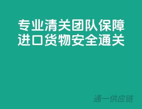 专业清关团队，保障进口货物安全通关