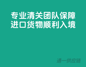 专业清关团队，保障进口货物顺利入境