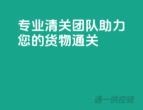 专业清关团队，助力您的货物通关