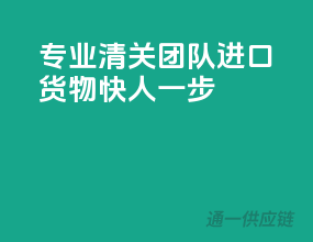 专业清关团队，进口货物快人一步