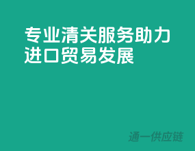 专业清关服务，助力进口贸易发展