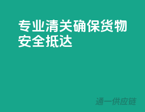 专业清关，确保货物安全抵达