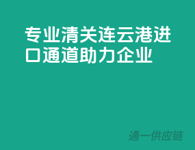 专业清关，连云港进口通道助力企业