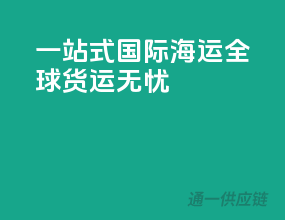 一站式国际海运，全球货运无忧