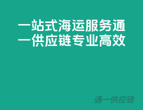一站式海运服务，通一供应链专业高效