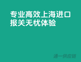 专业高效，上海进口报关无忧体验