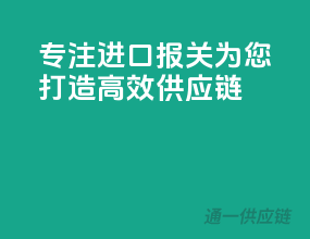 专注进口报关，为您打造高效供应链