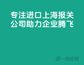 专注进口，上海报关公司，助力企业腾飞