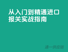 从入门到精通：进口报关实战指南